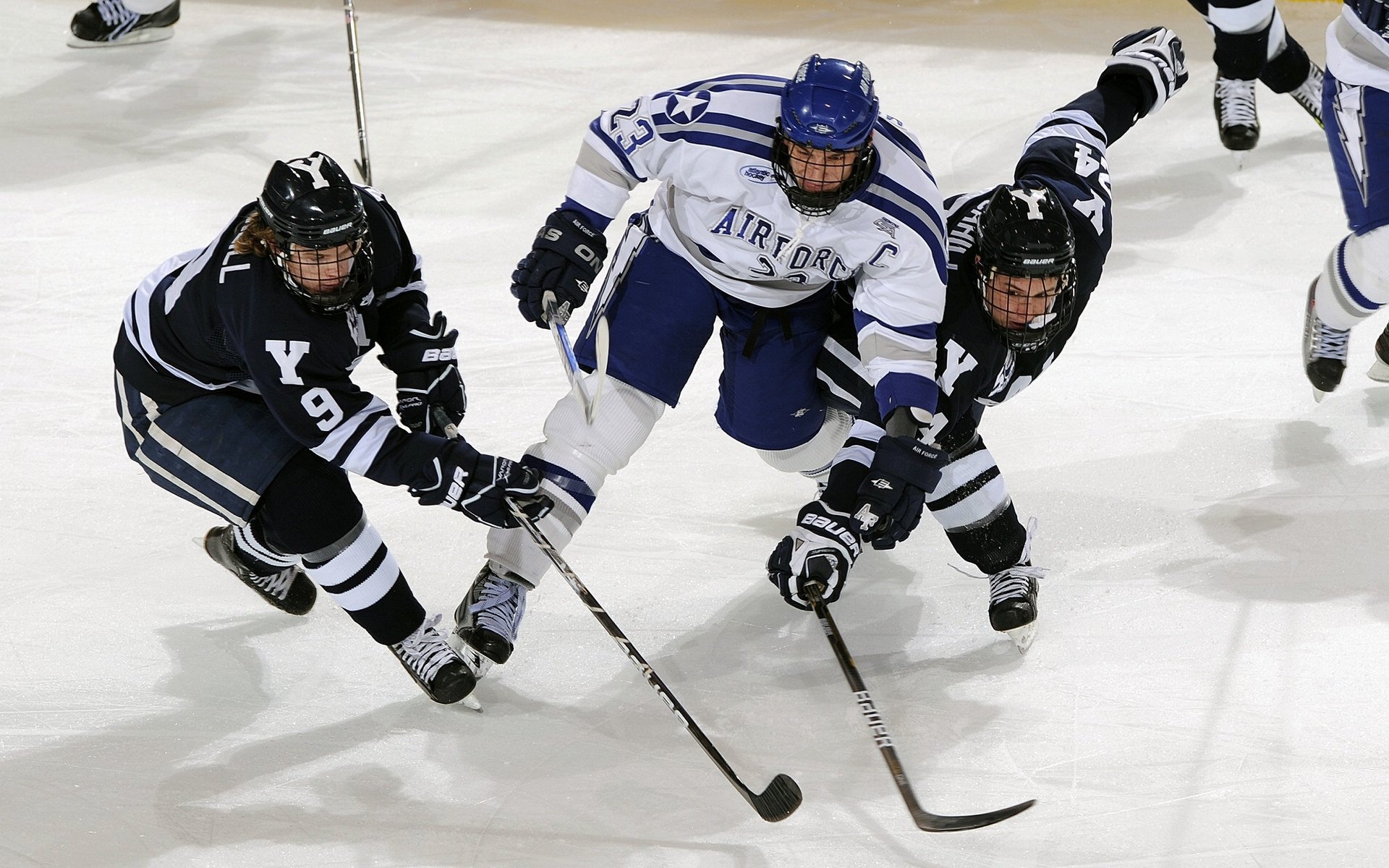 蜂鸣盐湖城，西决生死战，黄蜂与爵士的血性与智慧之争
